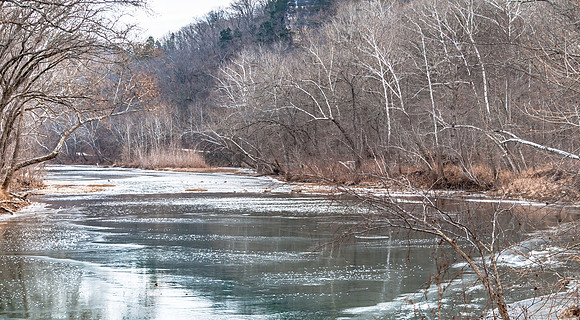 FLW Eagle (c)PicsbyJax-0116.jpg