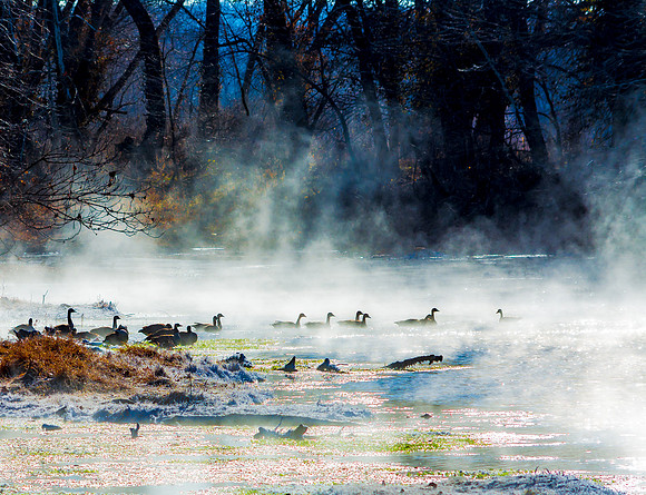 untitled-0540.jpg