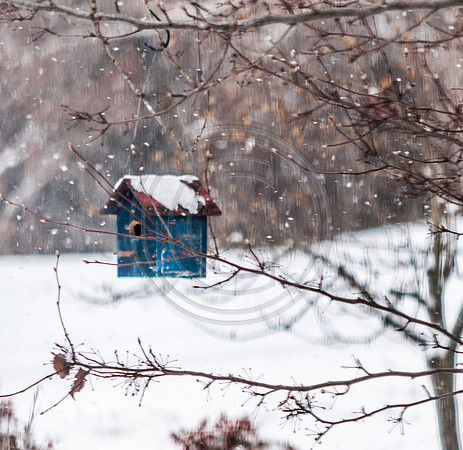 Snow Days 2017 (c)PicsbyJax snow whatisee shootandediteveryday-0018.jpg