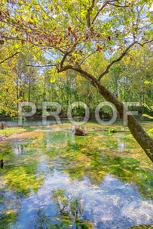 Roubidoux (c)PicsbyJax-4476-Edit.jpg