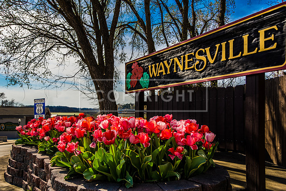 Waynesville Sign - Pulaski Planters -7058-HDR.jpg