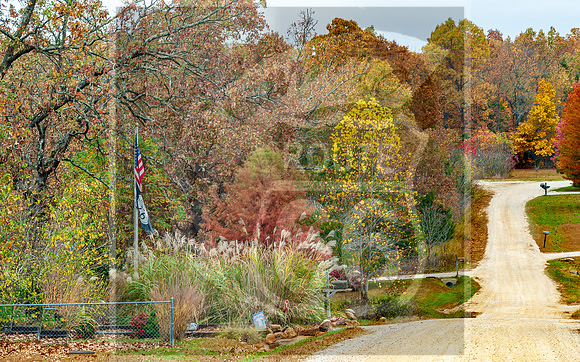 Fall - Waynesville, MO 2020 © Pics by Jax-0007.jpg