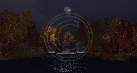 Moonlight