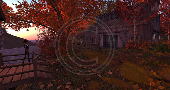 Screenshot_006