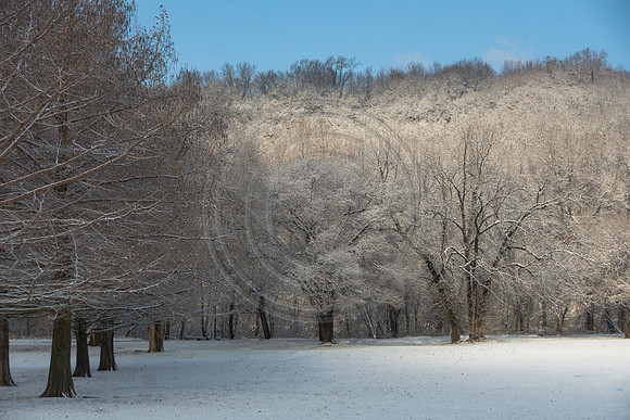 White Christmas 2017 (c)PicsbyJax #christmas #snow #picsbyjax  -9678.jpg