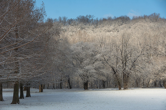 White Christmas 2017 (c)PicsbyJax #christmas #snow #picsbyjax  -9678.jpg