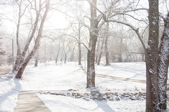 White Christmas 2017 (c)PicsbyJax #christmas #snow #picsbyjax  -9766.jpg