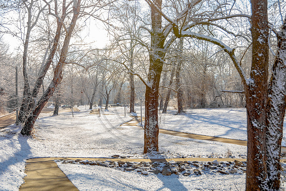 White Christmas 2017 (c)PicsbyJax #christmas #snow #picsbyjax  -9767.jpg