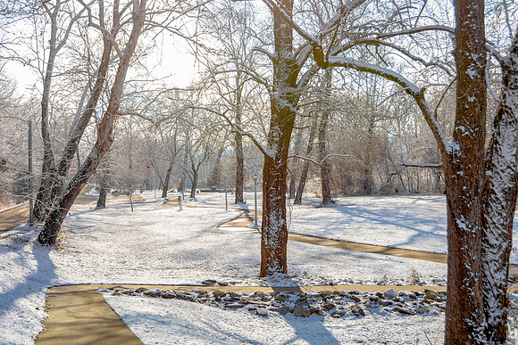 White Christmas 2017 (c)PicsbyJax #christmas #snow #picsbyjax  -9767.jpg