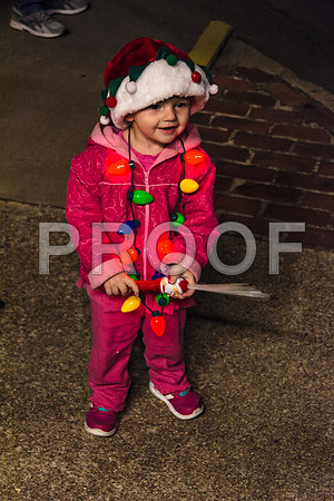 City of Lights (c)2016PicsbyJax richlandmo  picsbyjax-2739.jpg