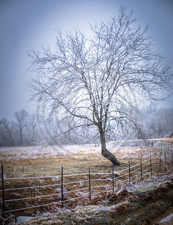 Jupiter Ice Storm- Saturday 14, 2017 (c)PicsbyJax whatisee shootandediteveryday picsbyjax-5016.jpg