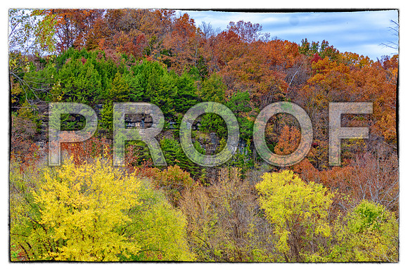Fall 2018 (c)PicsbyJax-4366-Edit.jpg