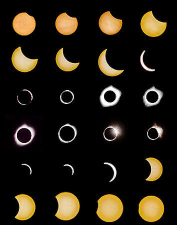 Solar Eclipse 2017 (c)2017PicsbyJax-2017.jpg