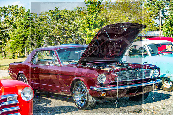Gearhead Bash 2017 (c)PicsbyJax -3652.jpg