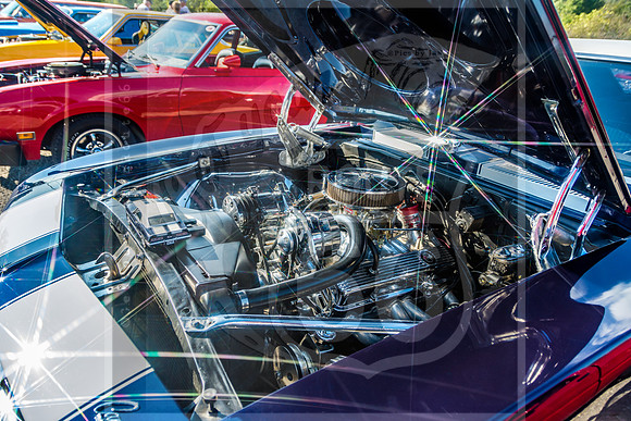 Gearhead Bash 2017 (c)PicsbyJax -3726.jpg