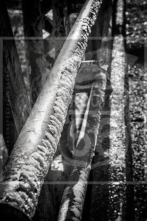 untitled-0479.jpg
