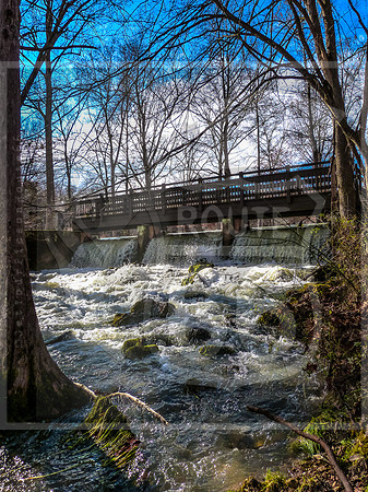 OSJ Meramec Springs-1150218.jpg