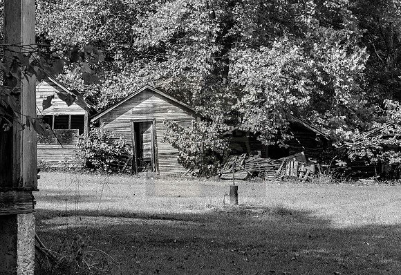 (c)2017PicsbyJax -0305.jpg