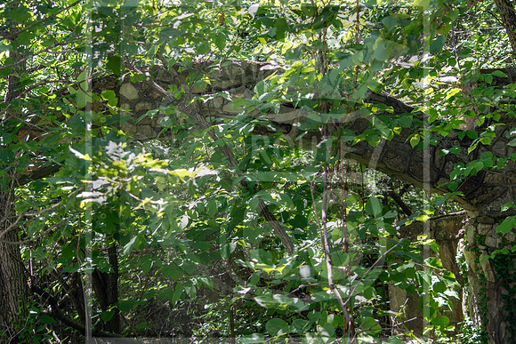 MVC_6851