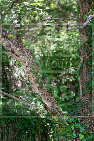 MVC_6856