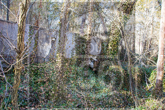 Stoney Dell Resort Remains (c)2017PicsbyJax #stoneydellresort #arlingtonmo #route66 #icon #getyourpicsonroute66 #picsbyjax-5942.jpg