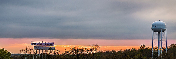 IMG_4903.jpg