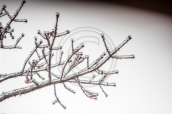 Jupiter Ice Storm- Friday 13, 2017 (c)PicsbyJax whatisee shootandediteveryday picsbyjax-0030.jpg