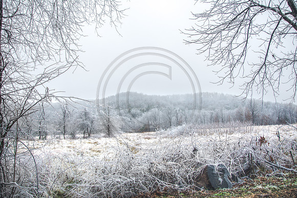 Jupiter Ice Storm- Saturday 14, 2017 (c)PicsbyJax whatisee shootandediteveryday picsbyjax-5133.jpg