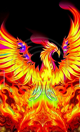 24F5F454-4D7E-45F1-9D67-CAD8B1BE7041