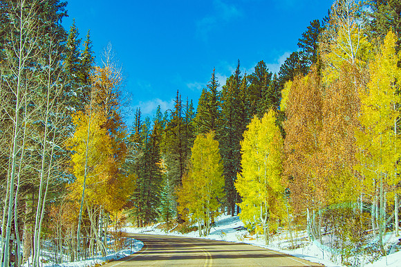 North Rim, AZ_JAX_8335.jpg