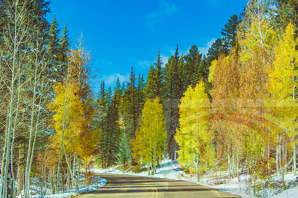 North Rim, AZ_JAX_8335.jpg