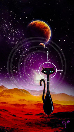 Space Cat II