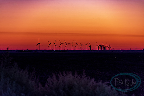 Amarillo by Morning_7085.jpg