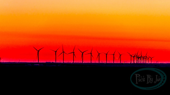 Amarillo by Morning_7098.jpg