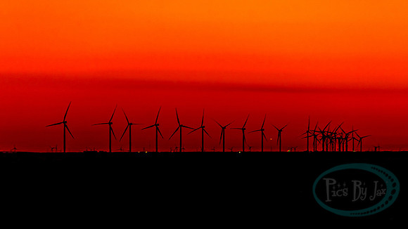 Amarillo by Morning_7102.jpg