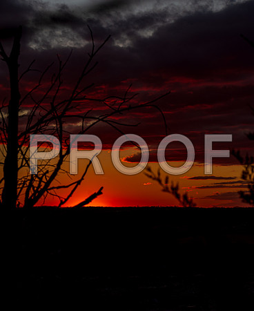 untitled-8390.jpg