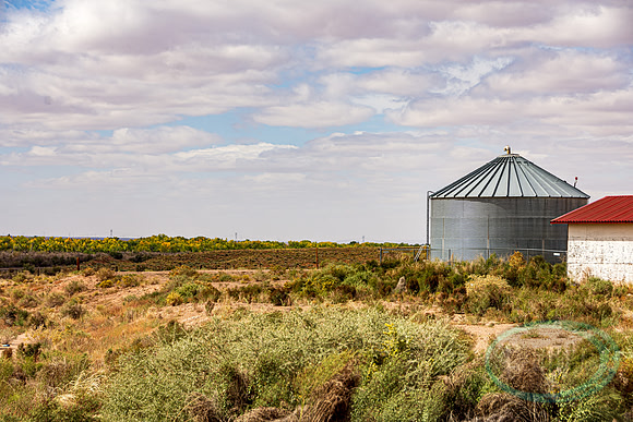 Holbrook, AZ_7228.jpg