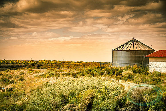 Holbrook, AZ_7229.jpg