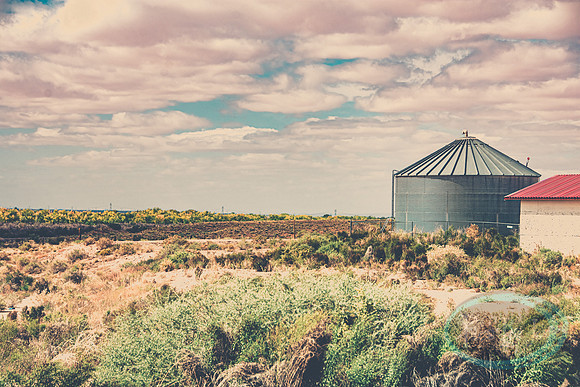 Holbrook, AZ_7229-2.jpg
