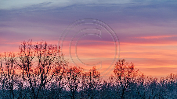DSC_0020.jpg