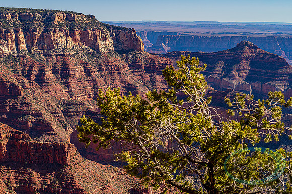_JAX9980-HDR.jpg