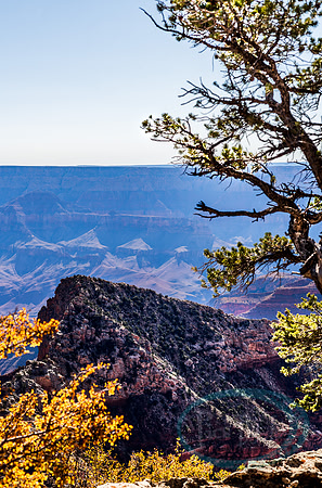 _JAX9983-HDR.jpg