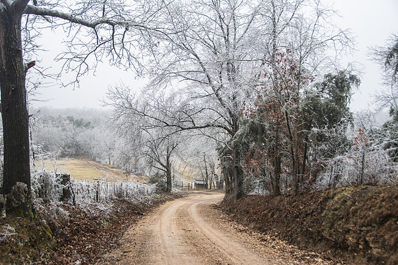 Jupiter Ice Storm- Saturday 14, 2017 (c)PicsbyJax whatisee shootandediteveryday picsbyjax-5058.jpg