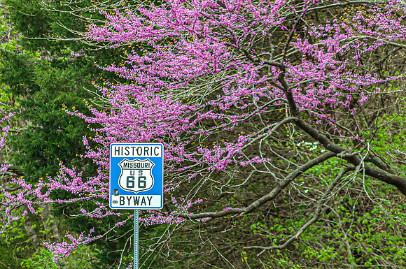 Spring 2020 PicsbyJax-0322-3.jpg