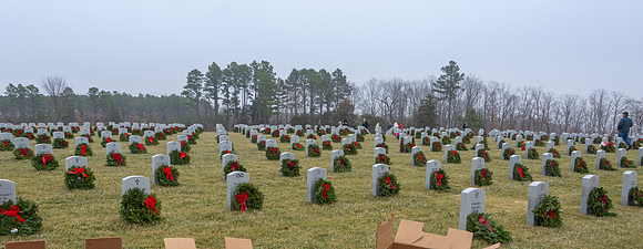 WAA 2019 © PicsbyJax-1659.jpg