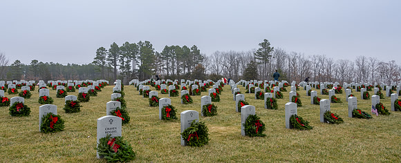 WAA 2019 © PicsbyJax-1660.jpg