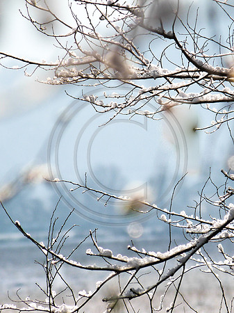 untitled-1180165.jpg