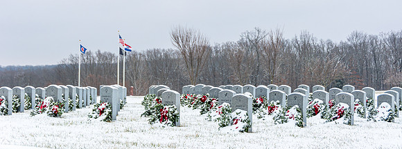 WAA 2019 © PicsbyJax-1670.jpg