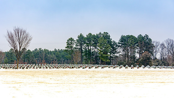 WAA 2019 © PicsbyJax-1683.jpg