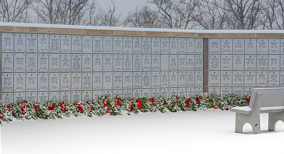 WAA 2019 © PicsbyJax-1684.jpg